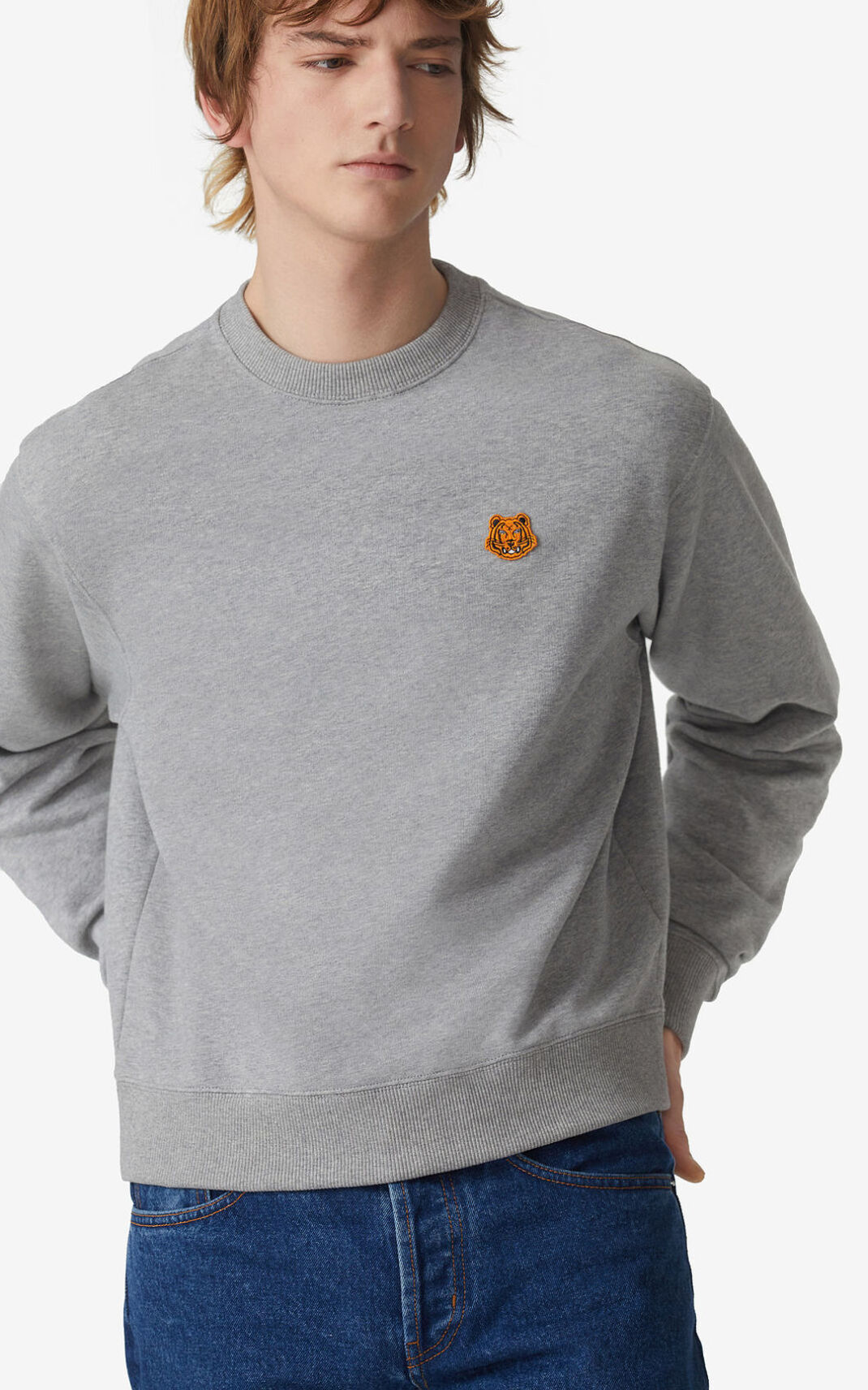 Kenzo Tiger Crest Sweatshirt Herre - Grå DK-608346